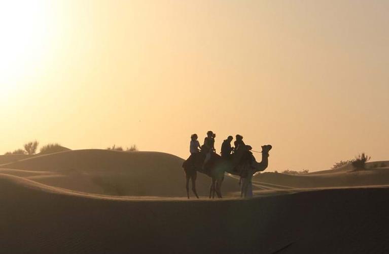 The Travel Directors The Travel Directors