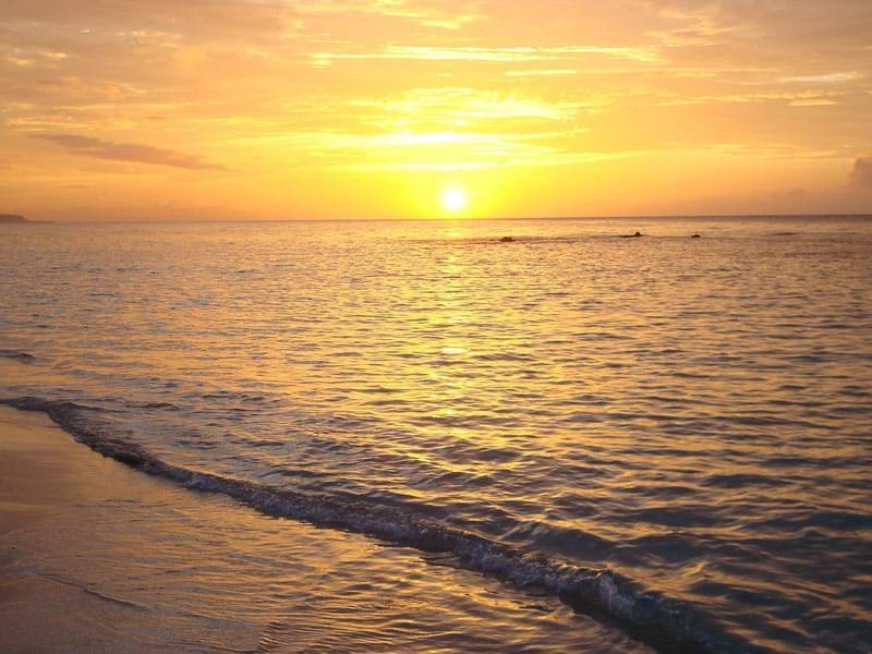 The Travel Directors