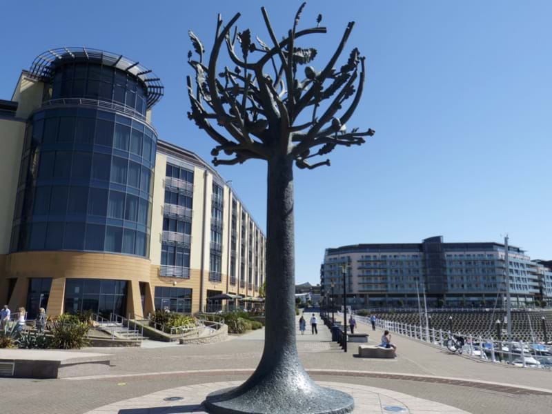 The Travel Directors