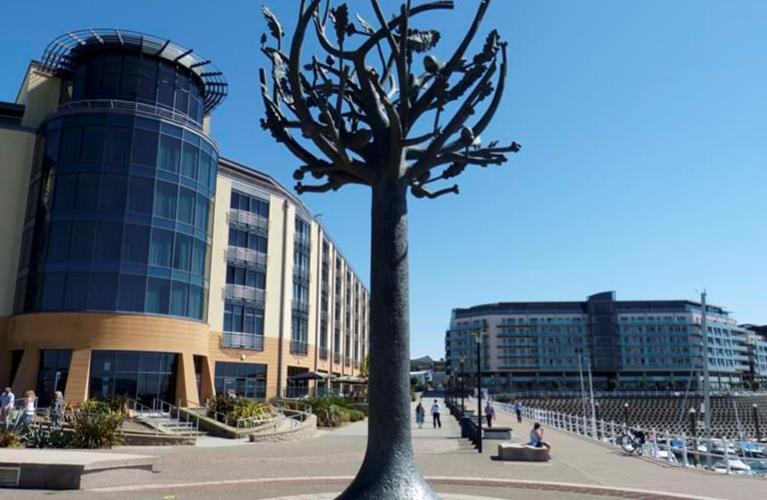 The Travel Directors The Travel Directors