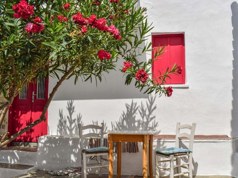 The Travel Directors