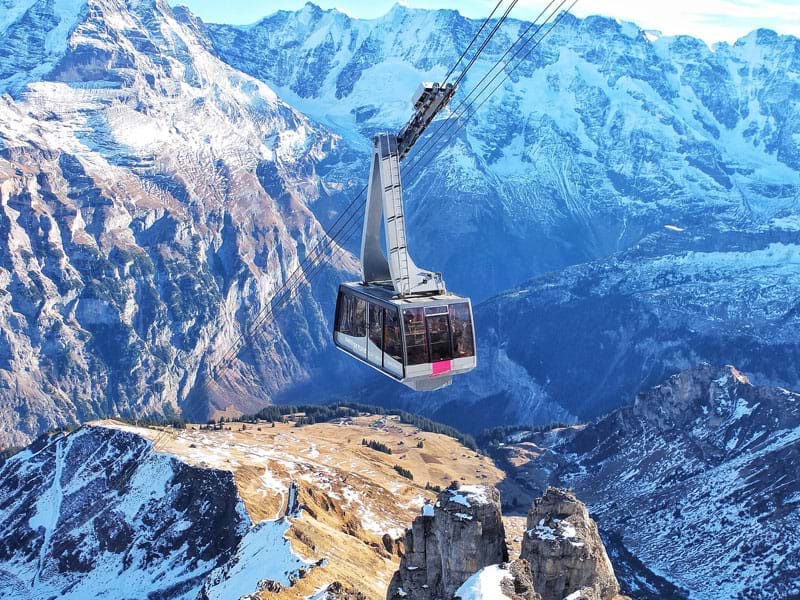 The Travel Directors