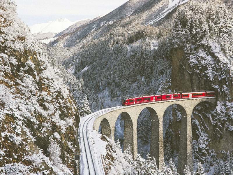 The Travel Directors