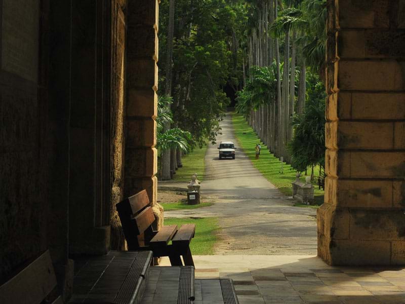 The Travel Directors