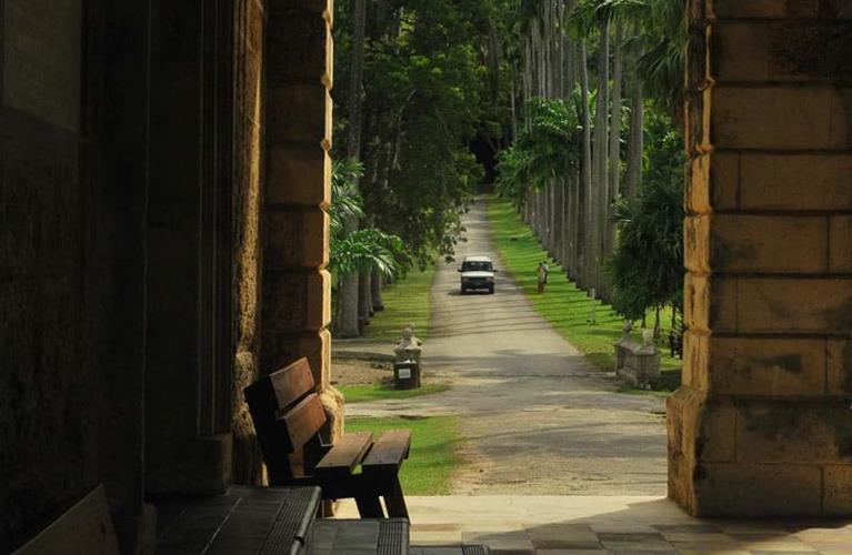 The Travel Directors The Travel Directors