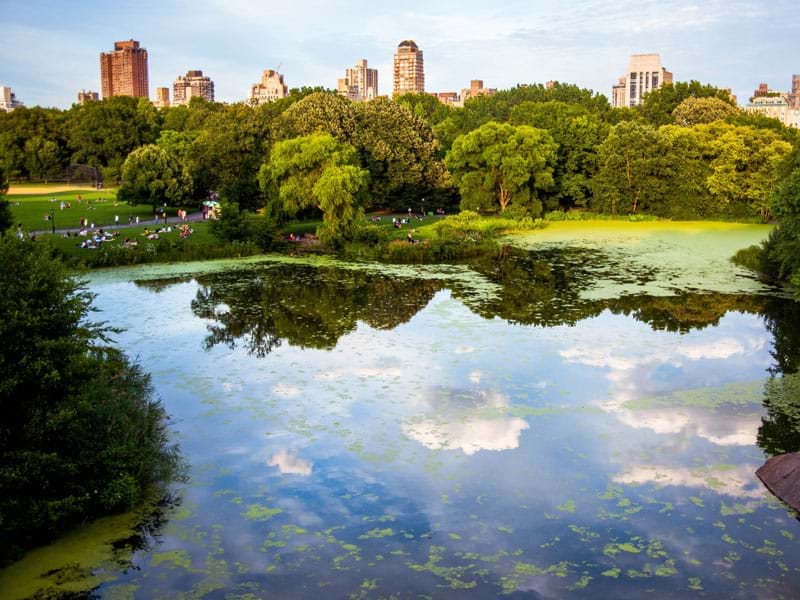 The Travel Directors