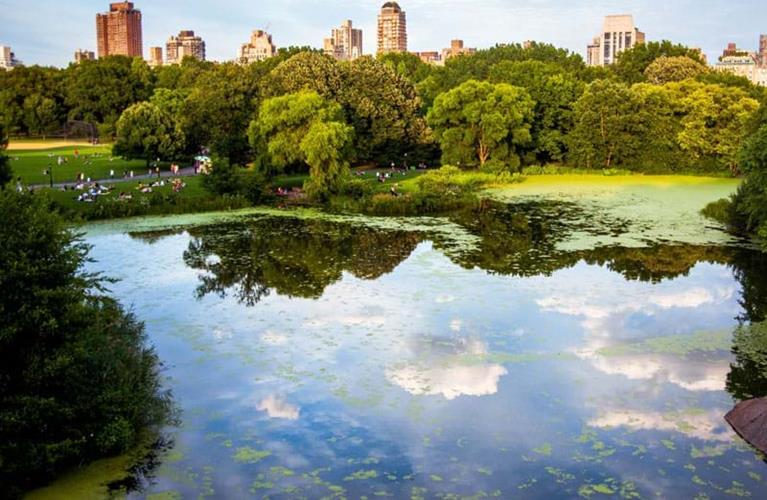 The Travel Directors The Travel Directors