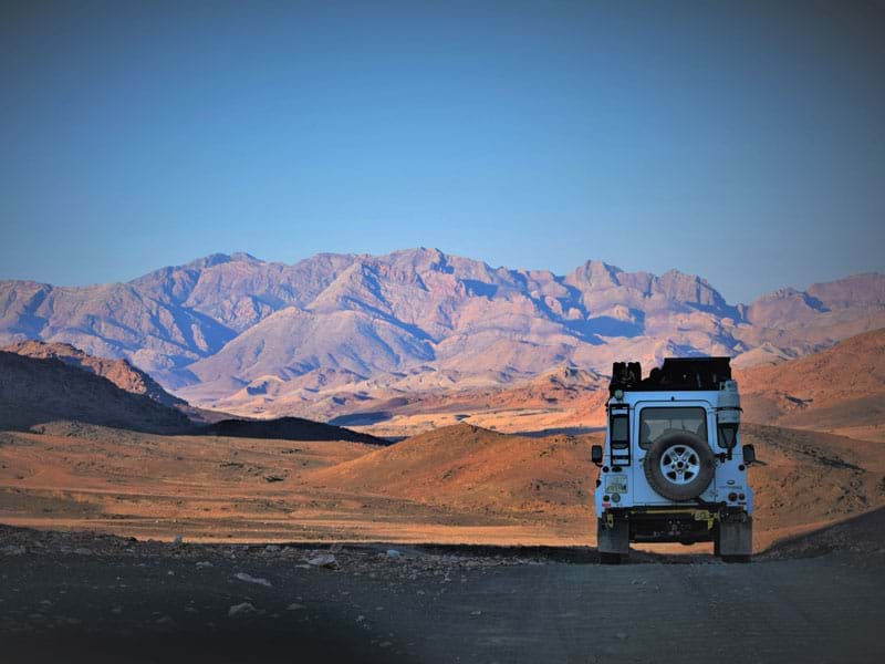 The Travel Directors