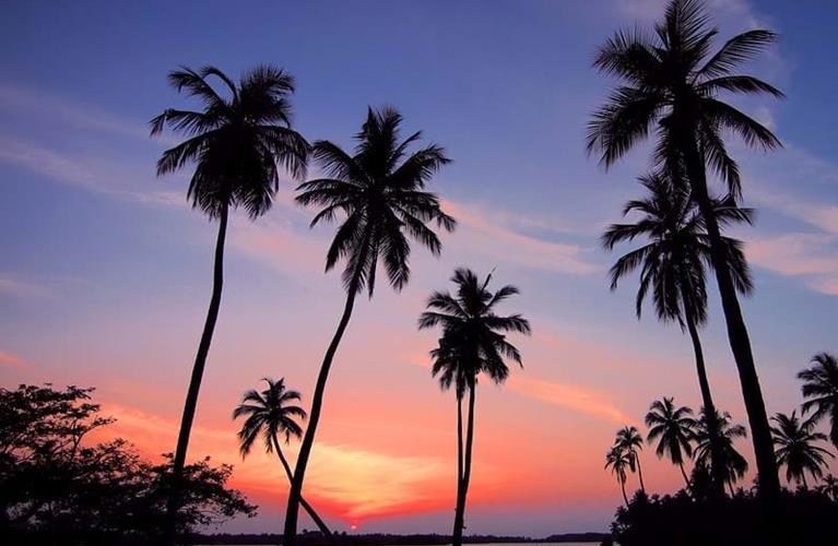 The Travel Directors The Travel Directors