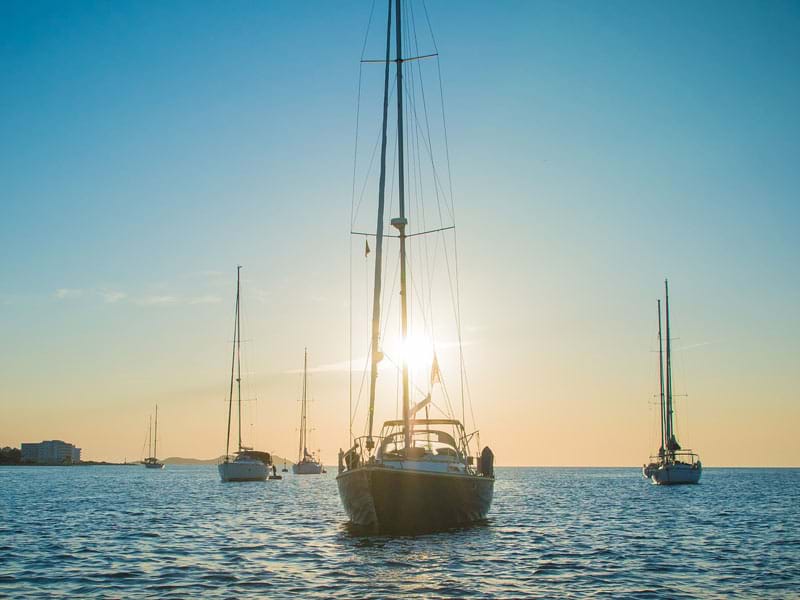 The Travel Directors