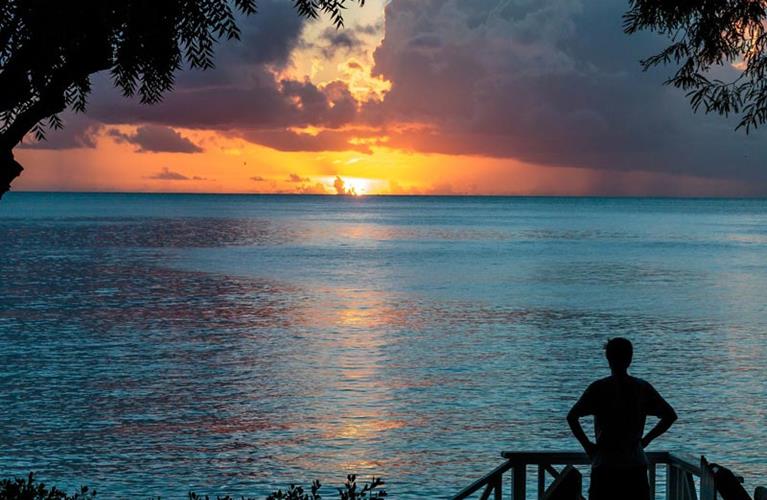 The Travel Directors The Travel Directors